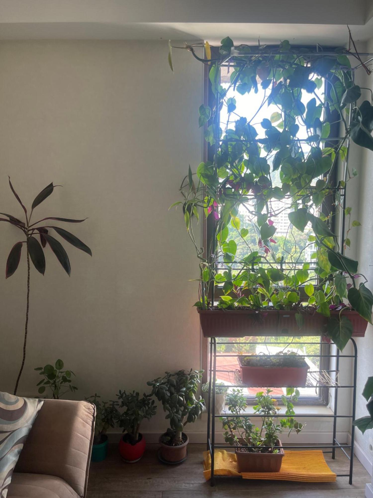 Apartament Panorama Khiliani Tbilisi Zewnętrze zdjęcie